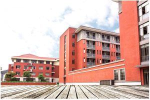 Read more about the article Top 3 Animation Institutes in Kolkata