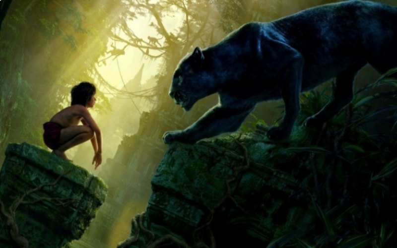 You are currently viewing What A Multimedia Artist Can Learn From The Movie Jungle Book