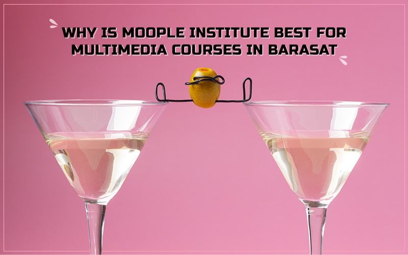 Read more about the article Why Is Moople Institute Best For Multimedia Courses In Barasat?